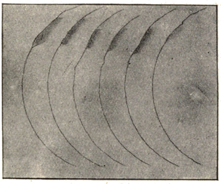 Fig. 53.&mdash;Elevations and Depressions on the "Terminator"
of Mars (August 24th, 1894)