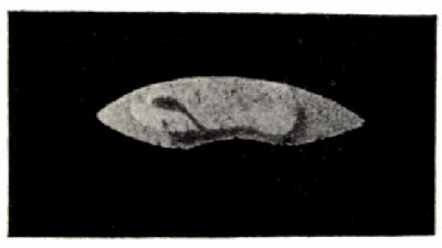 Fig. 54.&mdash;The Southern Polar Cap on Mars (July 1, 1894).