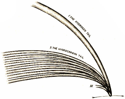 Fig. 72.&mdash;Bredichin's Theory of Comets' Tails.
