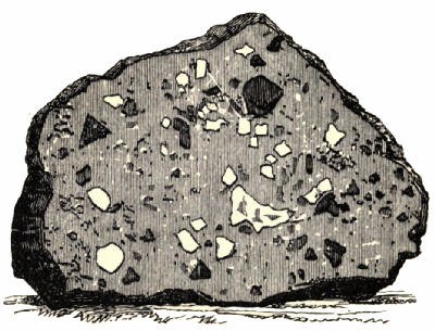 Fig. 79.&mdash;Section of the Chaco Meteorite.
