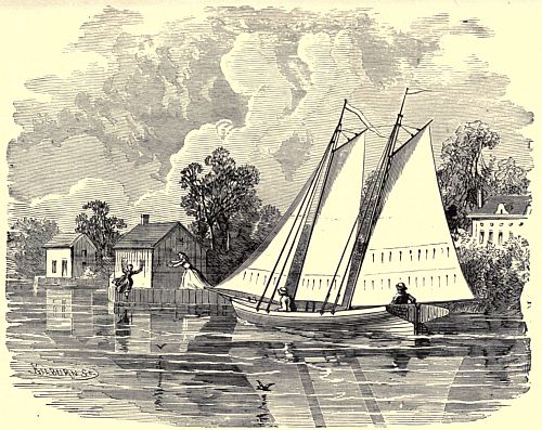THE EXCITING SCENE ON THE SOUTH SHORE.&mdash;Page 14.