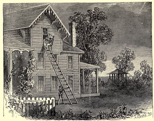THE RESCUE OF THE CAPTIVE MAIDEN.&mdash;Page 49.