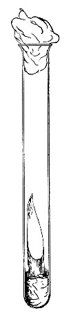 Fig. 111.&mdash;Potato tube.