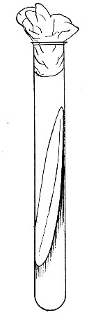 Fig. 118.&mdash;Sloped or slanted medium for streak or smear
culture.
