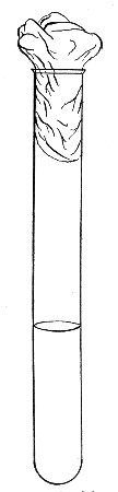 Fig. 119.&mdash;Straight tube.