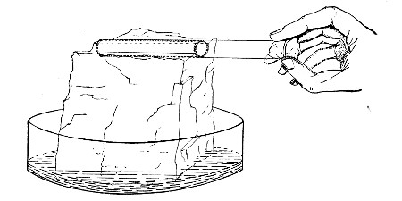 Fig. 120. Esmarch's roll culture on block of
ice.