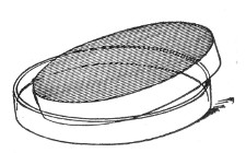 Fig. 128.&mdash;Drying surface plate of agar.