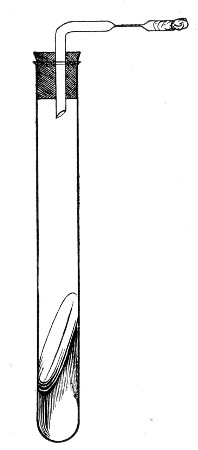 Fig. 129.&mdash;Vacuum culture.