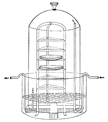 Fig. 134.&mdash;Botkin's apparatus.