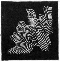 Fig. 147.&mdash;Types of colonies&mdash;curled.