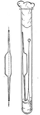 Fig. 15.&mdash;Blood pipettes and hair-lip pin in a
test-tube.