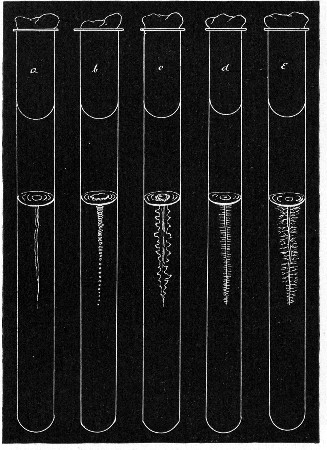 Fig. 150.&mdash;Stab cultivations&mdash;types of growth: a,
Filiform; b, beaded; c, echinate; d, villous; e, arborescent.