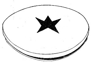 Fig. 159.&mdash;Plate with star for testing effect of light.
