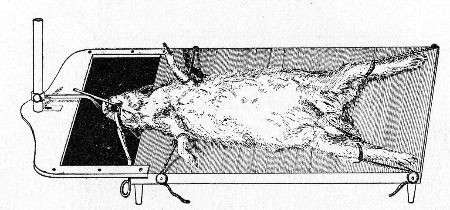 Fig. 179.&mdash;Tatin's operation table.