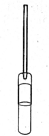 Fig. 185.&mdash;Making celloidin capsules.
