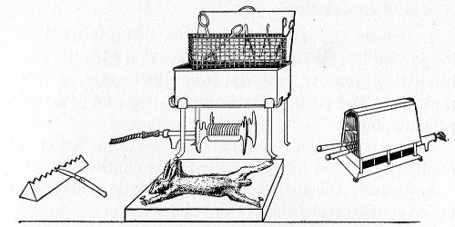 Fig. 197.&mdash;Apparatus for post-mortem examination, animal
on board.