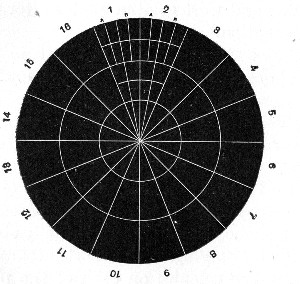 Fig. 208.&mdash;Pakes' disc, reduced.
