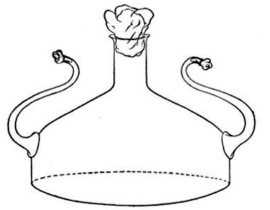 Fig. 33.&mdash;Ruffer's flask.
