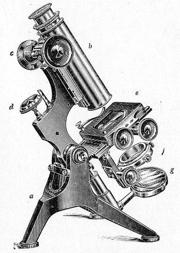 Fig. 40.&mdash;Microscope stand.