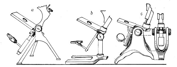 Fig. 41.&mdash;Foot, three types.