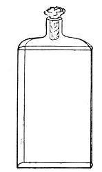 Fig. 5.&mdash;Roux's culture bottle.