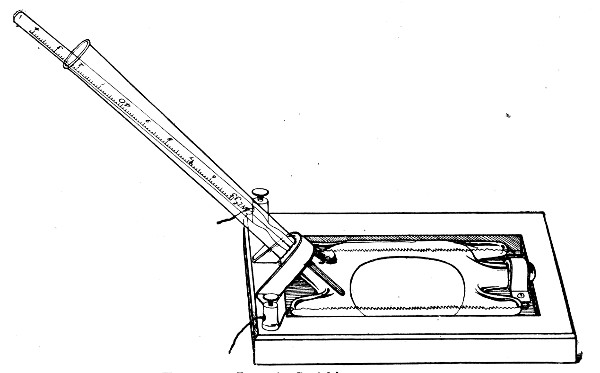 Fig. 53.&mdash;Lorrain Smith's warm stage.