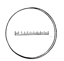 Fig. 56.&mdash;Eyepiece micrometer, ordinary.