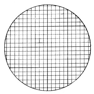 Fig. 57.&mdash;Eyepiece micrometer, net.
