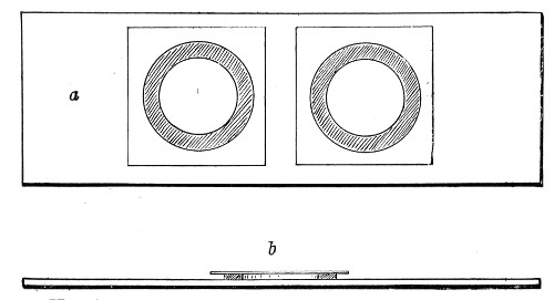 Fig. 62.&mdash;Hanging-drop slides: a, Double cell seen from
above; b, single cell seen from the side.