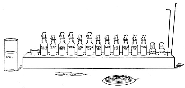 Fig. 65.&mdash;Staining rack, rubber change mat and lysol
pot.