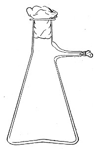 Fig. 7.&mdash;Filter flask.