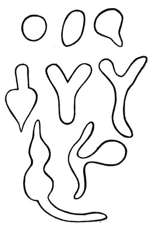 Fig. 90.&mdash;Involution forms.