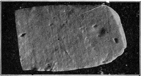 Fig. 19. Curd from a good milk. The large irregular holes
are mechanical.