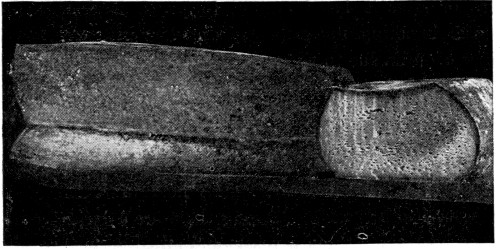 Fig. 34. Block Swiss cheese showing "gassy"
fermentation.