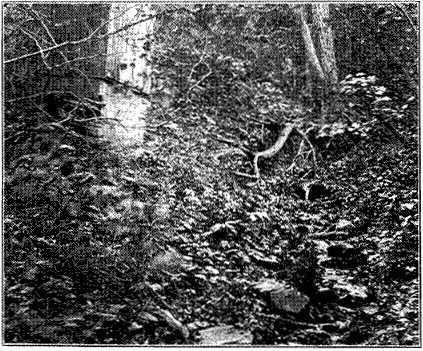 Fig. 36.&mdash;Stream draining a privy.