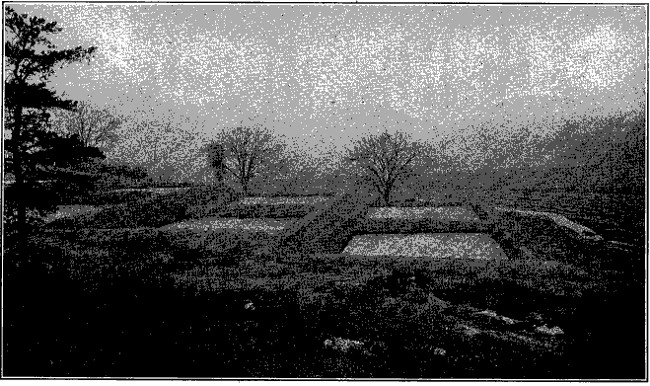 Fig. 67.&mdash;Sewage beds.