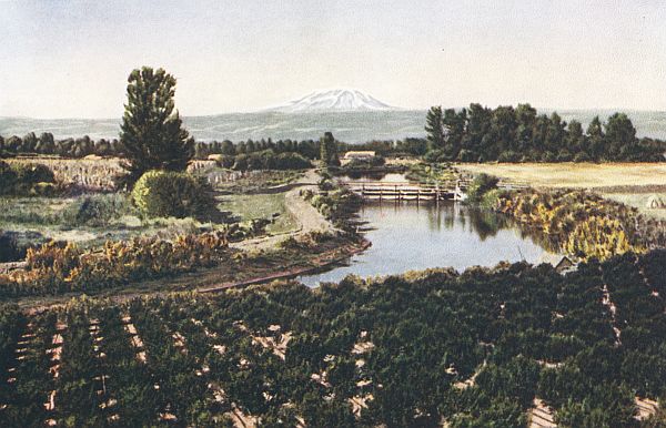 SUNNYSIDE CANAL&mdash;MOUNT ADAMS IN DISTANCE
