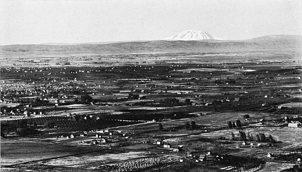 THE YAKIMA VALLEY&mdash;MOUNT ADAMS IN THE DISTANCE.