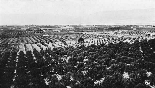 THE WENATCHEE VALLEY&mdash;NEAR THE CITY OF WENATCHEE.