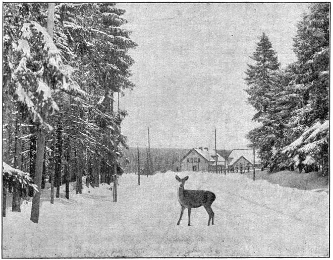 Het Forsthaus Oderbr&uuml;ck.