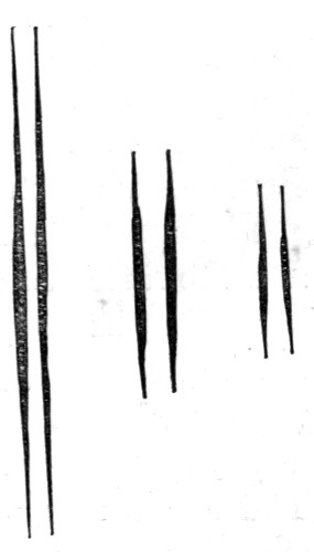 Fig. 7.&mdash;Long and short lines of sodium.