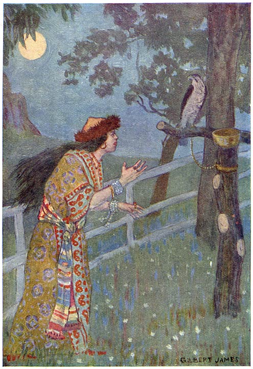 She wrung the neck of Paul&rsquo;s grey falcon