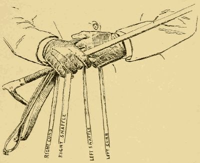 POSITION OF REINS AND HANDS IN JUMPING, CURB OUTSIDE,
SNAFFLE INSIDE