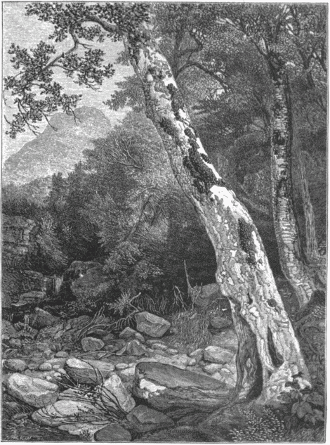 A STUDY FROM NATURE.&mdash;[A. U. DURAND.]