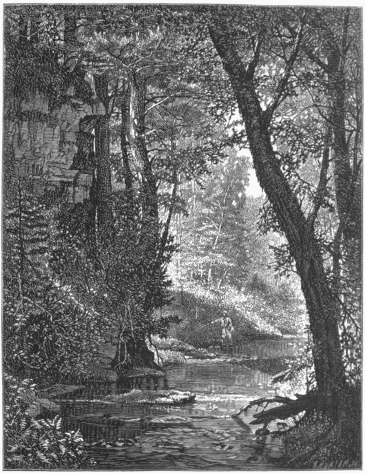 "BROOK IN THE WOODS."&mdash;[WORTHINGTON WHITTREDGE.]