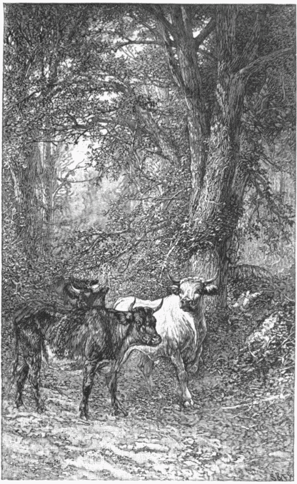 LANDSCAPE WITH CATTLE.&mdash;[JAMES HART.]