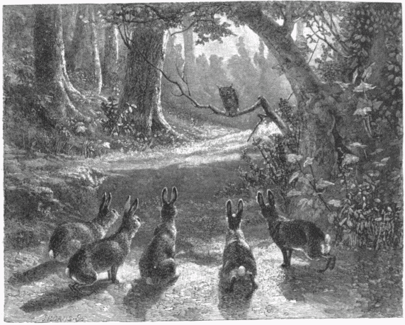 "WHOO!"&mdash;[WILLIAM H. BEARD.]