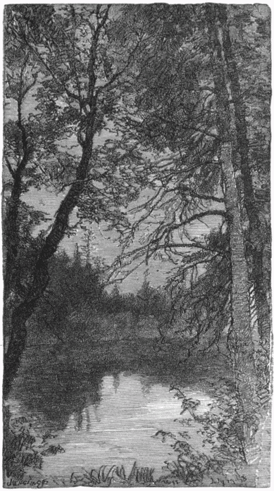 "THE ADIRONDACKS."&mdash;[HOMER MARTIN.]