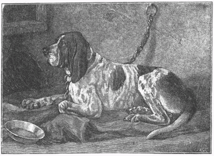 STUDY OF A DOG.&mdash;[FRANK ROGERS.]