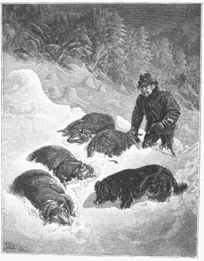 "LOST IN THE SNOW."&mdash;[A. F. TAIT.]